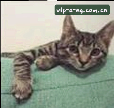 刘洋