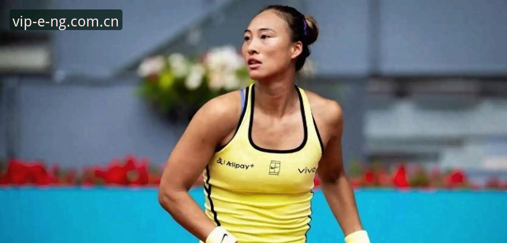 法网女单抽签结果解读：郑钦文非种子选手vs王欣瑜32号种子，中国金花保分压力与晋级前景全面对比