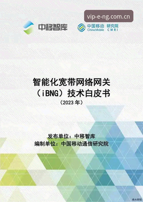 NG娱乐最新版本 深度揭秘:NG娱乐最新版本V3.1背后的技术革新与用户体验真相